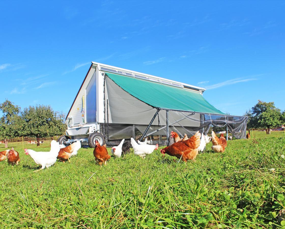 Gasthaus Zum Bauernhof Oberlunkhofen Luaran gambar